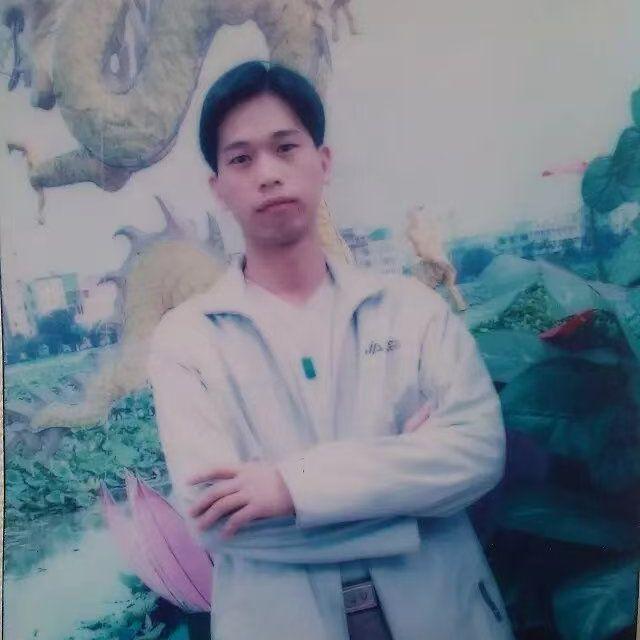 爬山虎封面