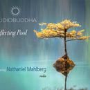 Audio Buddha