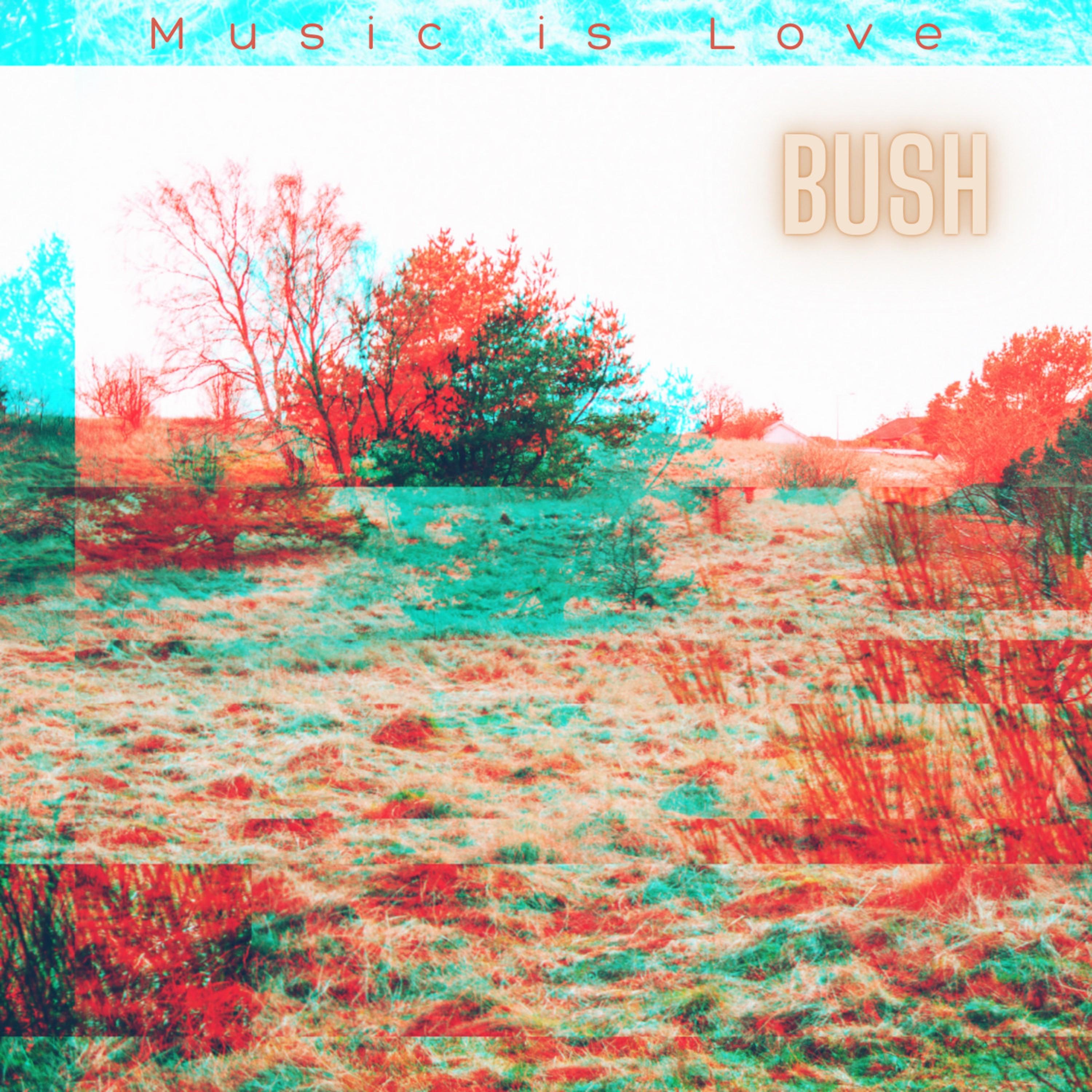 Bush