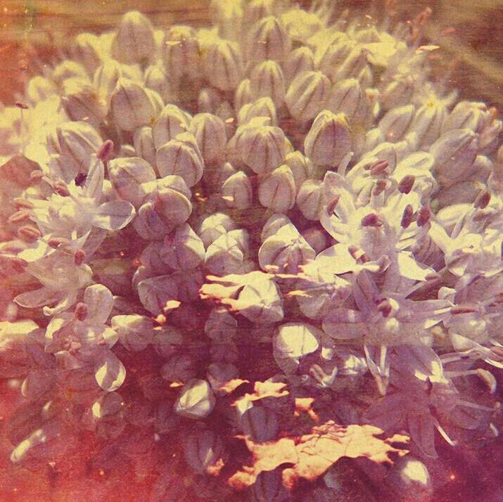 PERSONAL MENTAL HEROINE：Indie and More