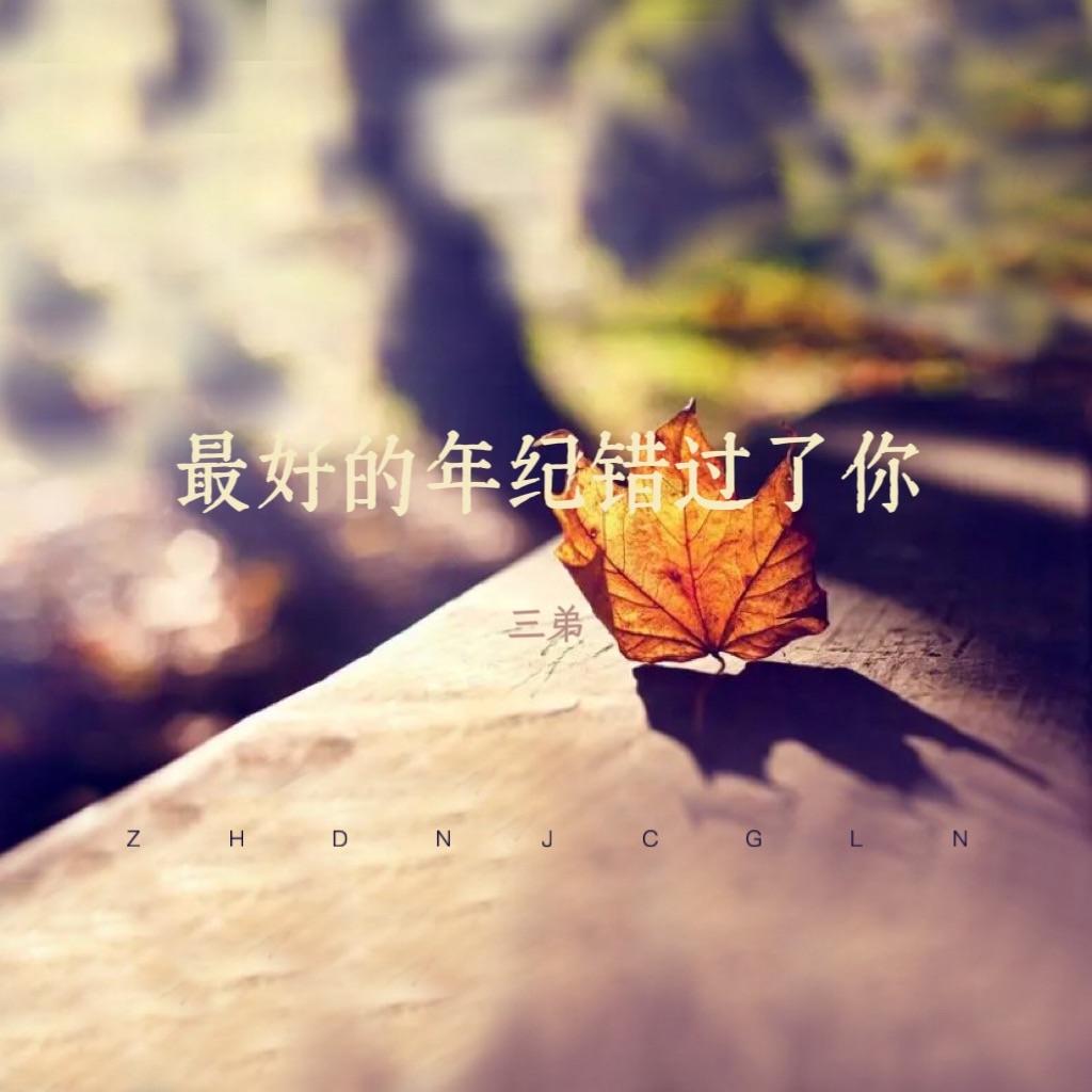 最好的年纪错过了你 (0.8x降速版)封面