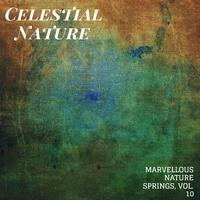 Celestial Nature - Marvellous Nature Springs, Vol. 10