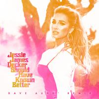 Should Have Known Better (Dave Audé Remix)