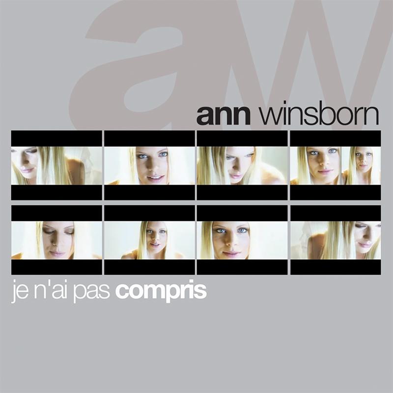 Je n'ai pas compris (Radio Version)