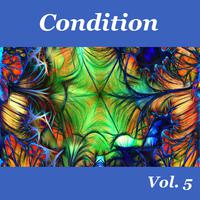 Condition, Vol. 5