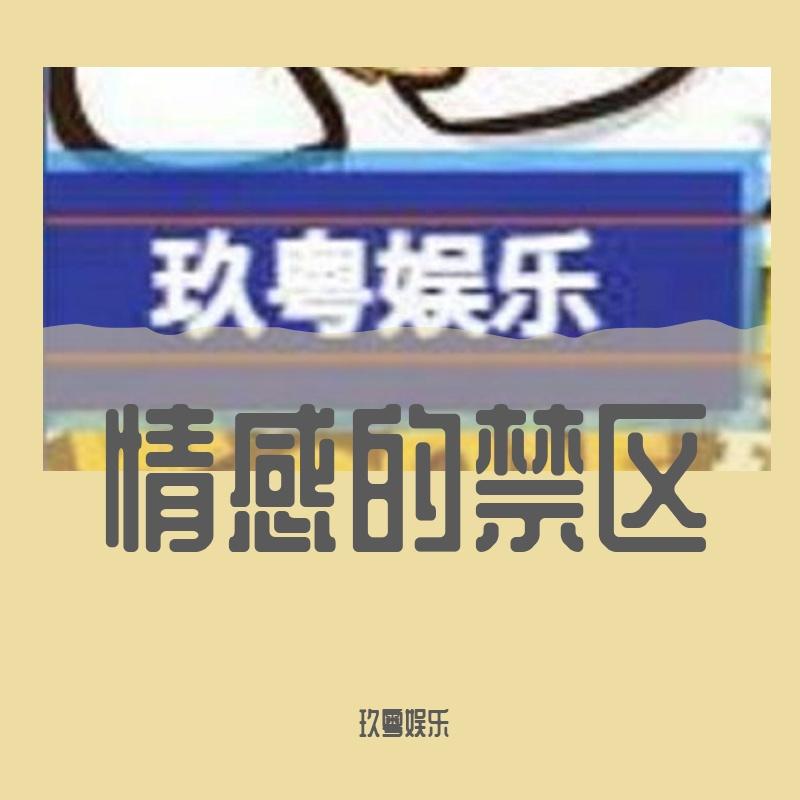 情感的禁区封面