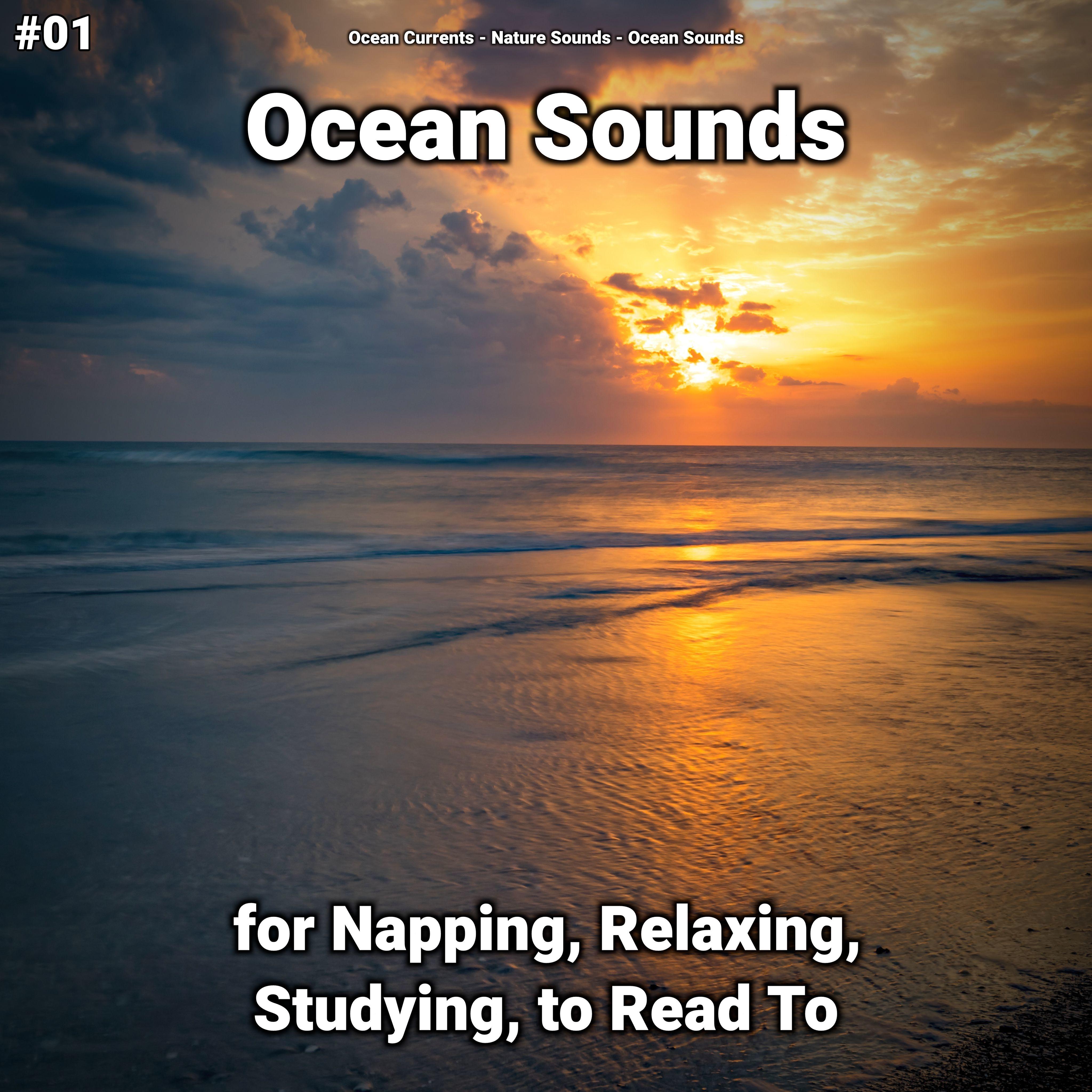 Ocean Sounds Pt. 69