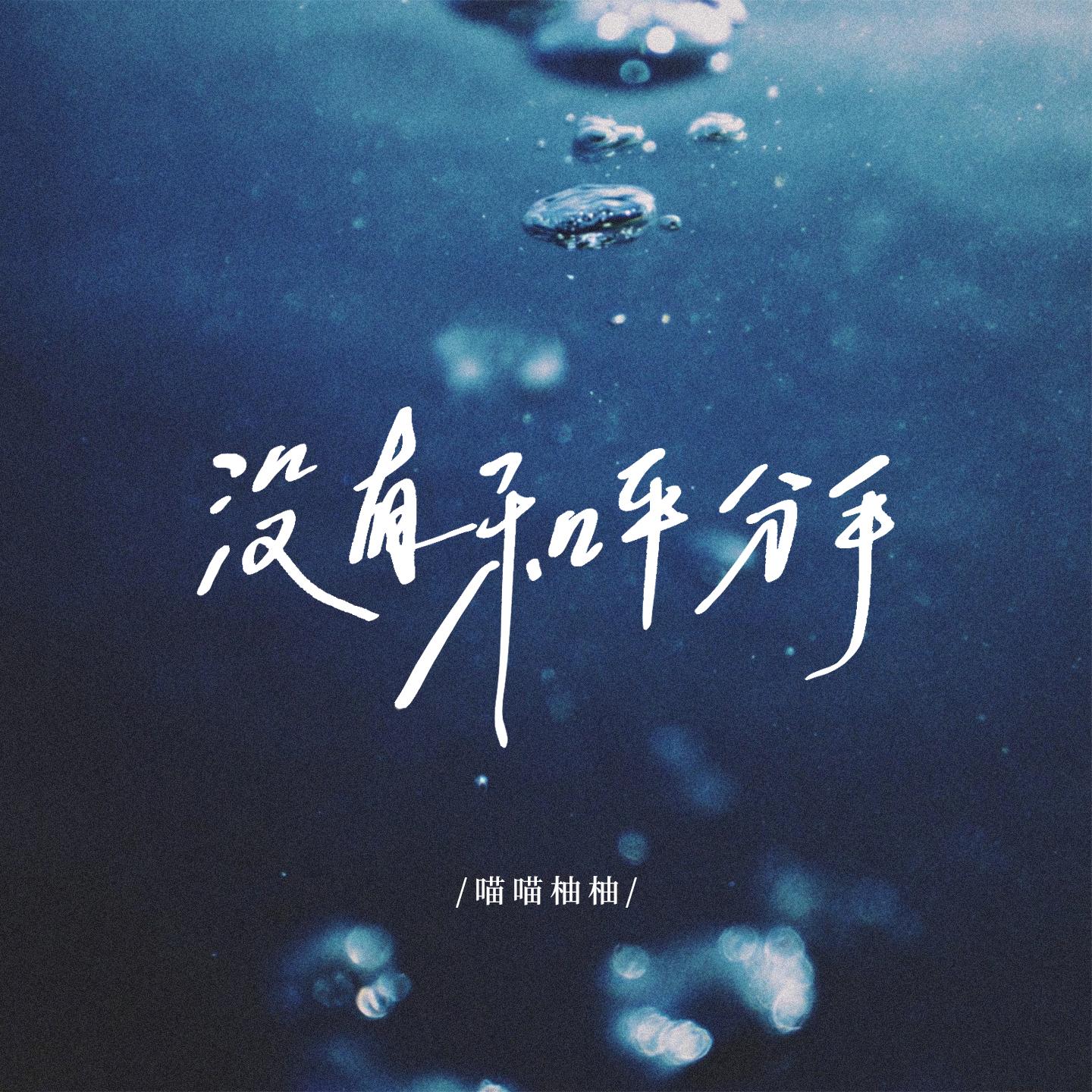 没有和平分手封面