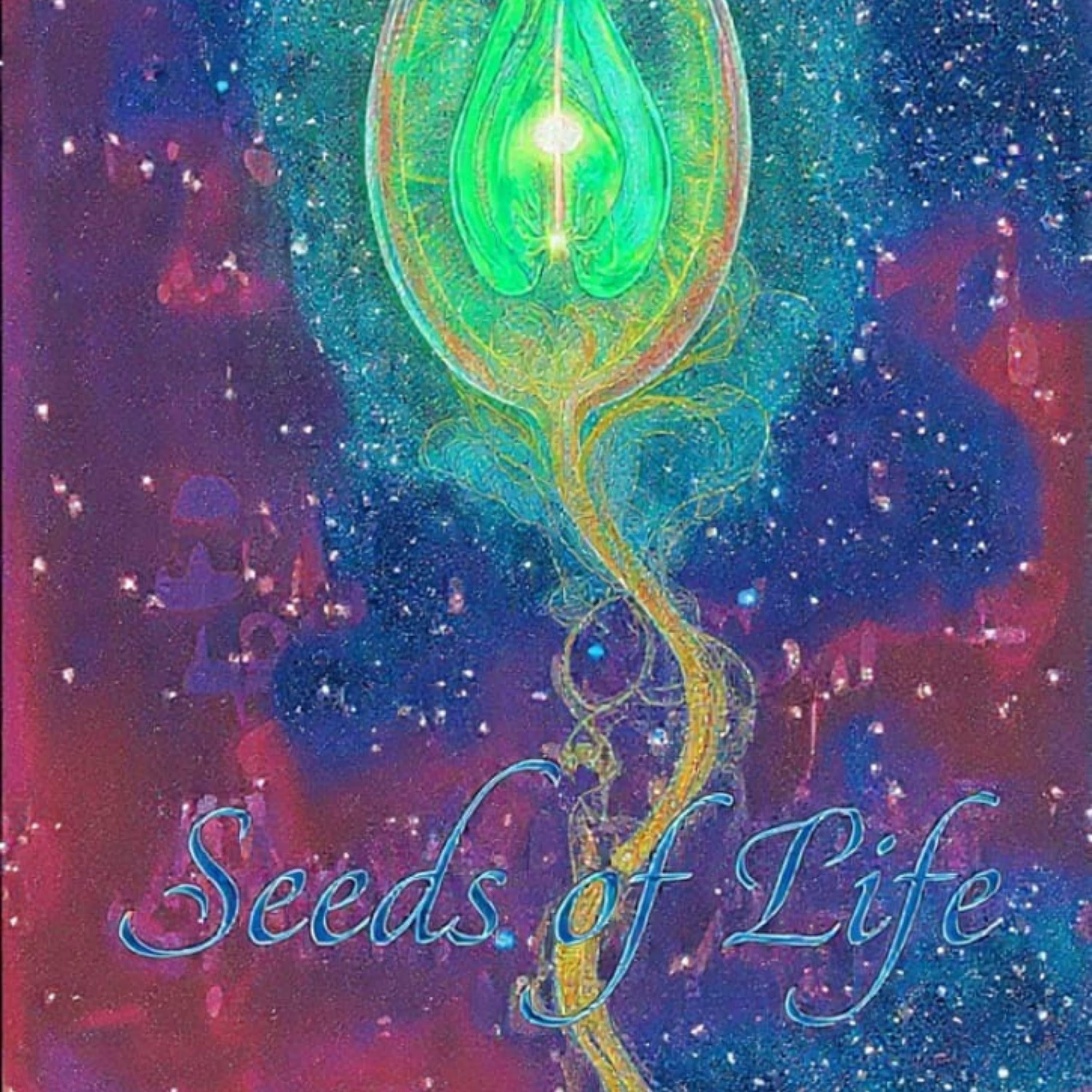 Seeds of Life (Instrumental)