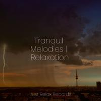 Tranquil Melodies | Relaxation