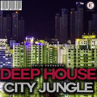 Deep House City Jungle, Vol. 2