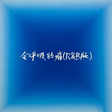 会呼吸的痛 (R&B版)封面