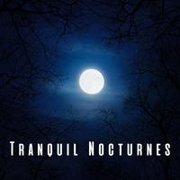 Tranquil Nocturnes: Relaxing Piano for a Peaceful Sleep