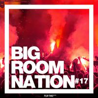 Big Room Nation, Vol. 17