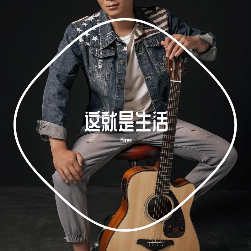 这就是生活 伴奏封面
