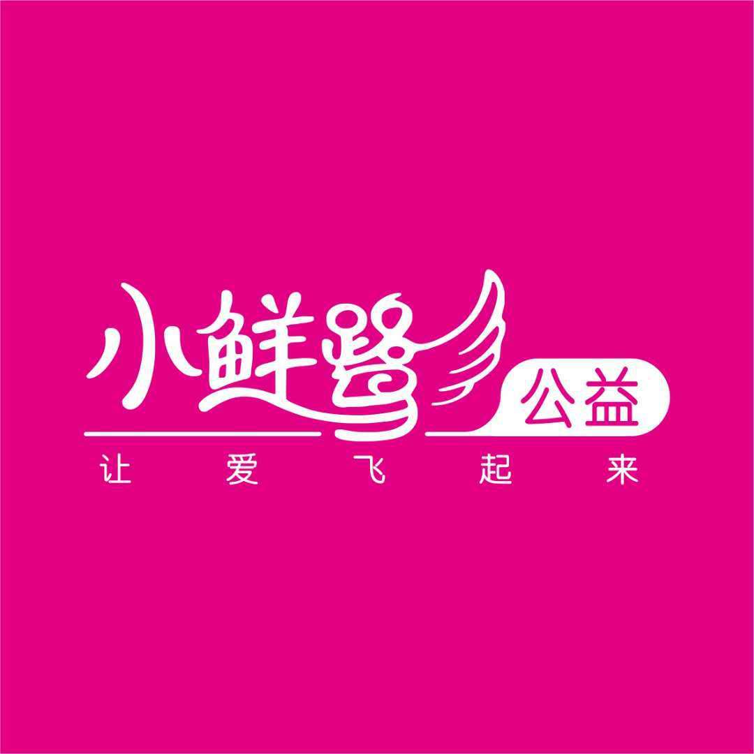 李盼 让爱飞起来---小鲜鹭公益主题曲封面