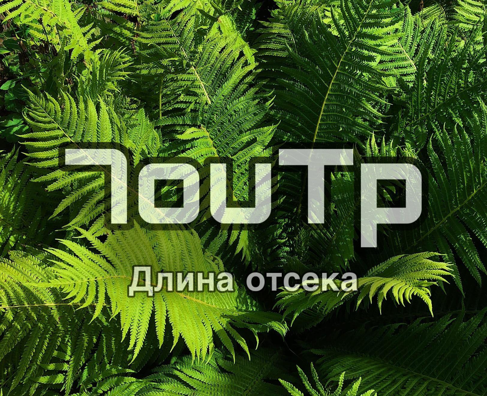7ouTp