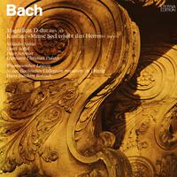 Bach: Cantatas - BWV 10, 243