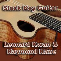 Slack Key Guitar