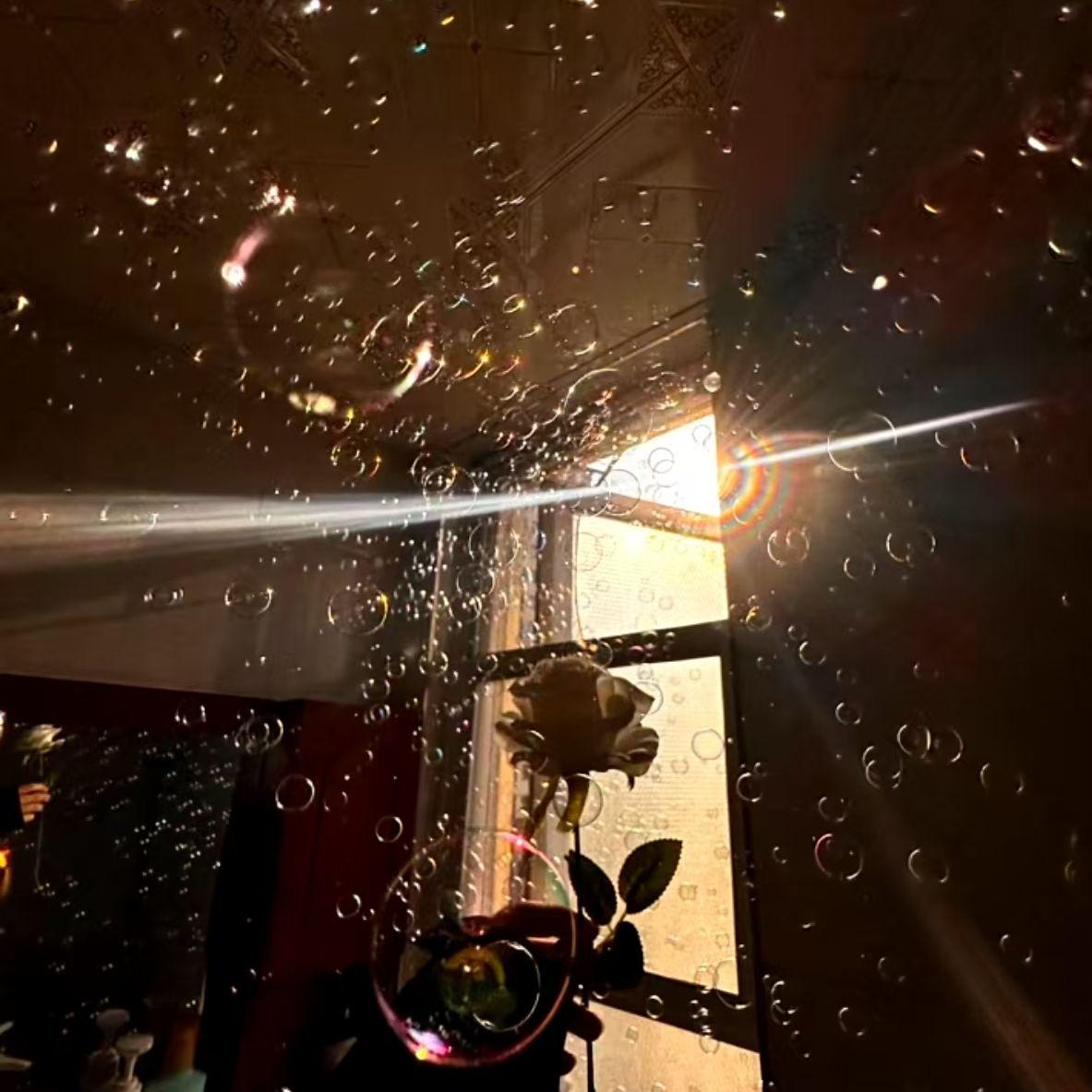 你爱的第一个人是你灵魂缺失的拼图封面