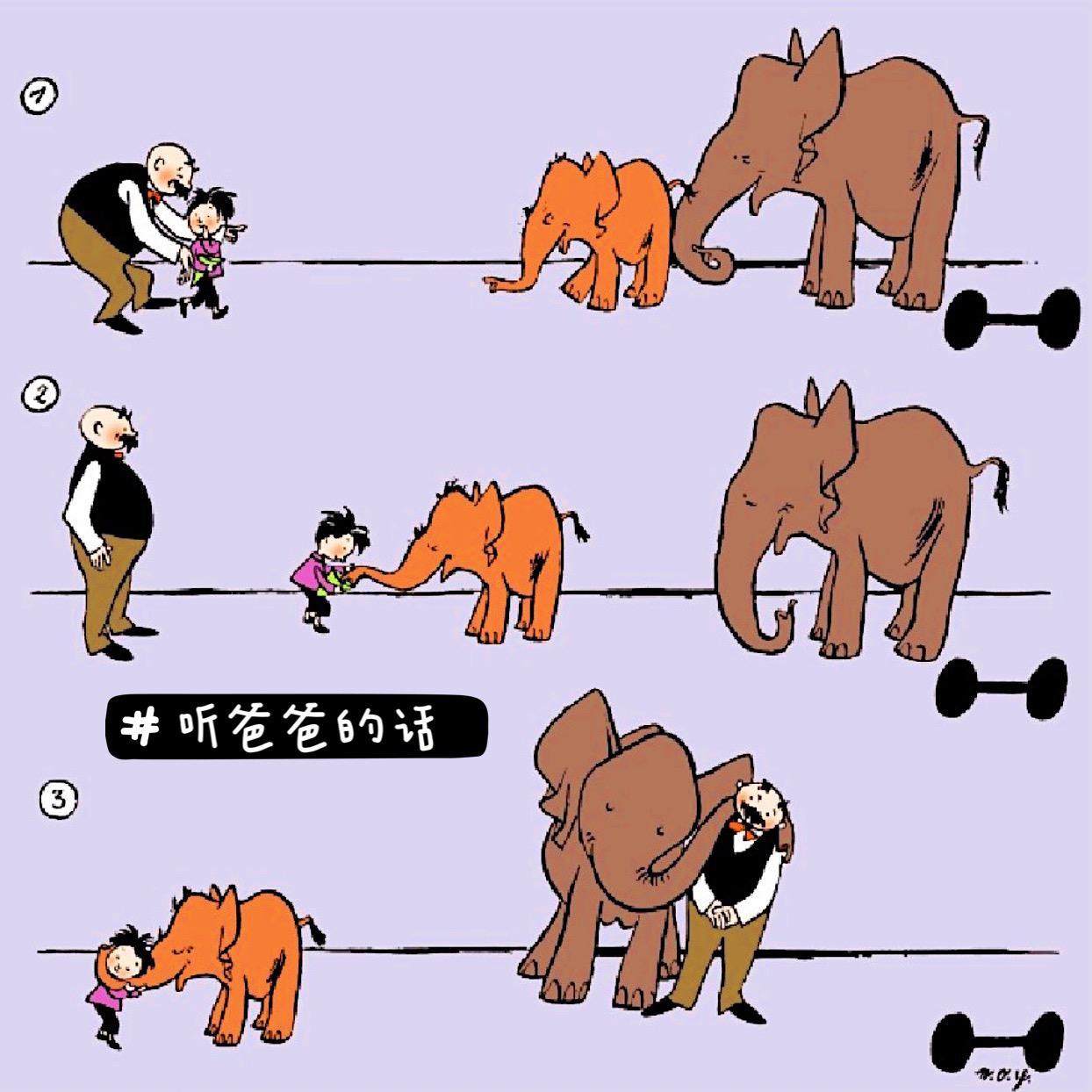 听爸爸的话封面