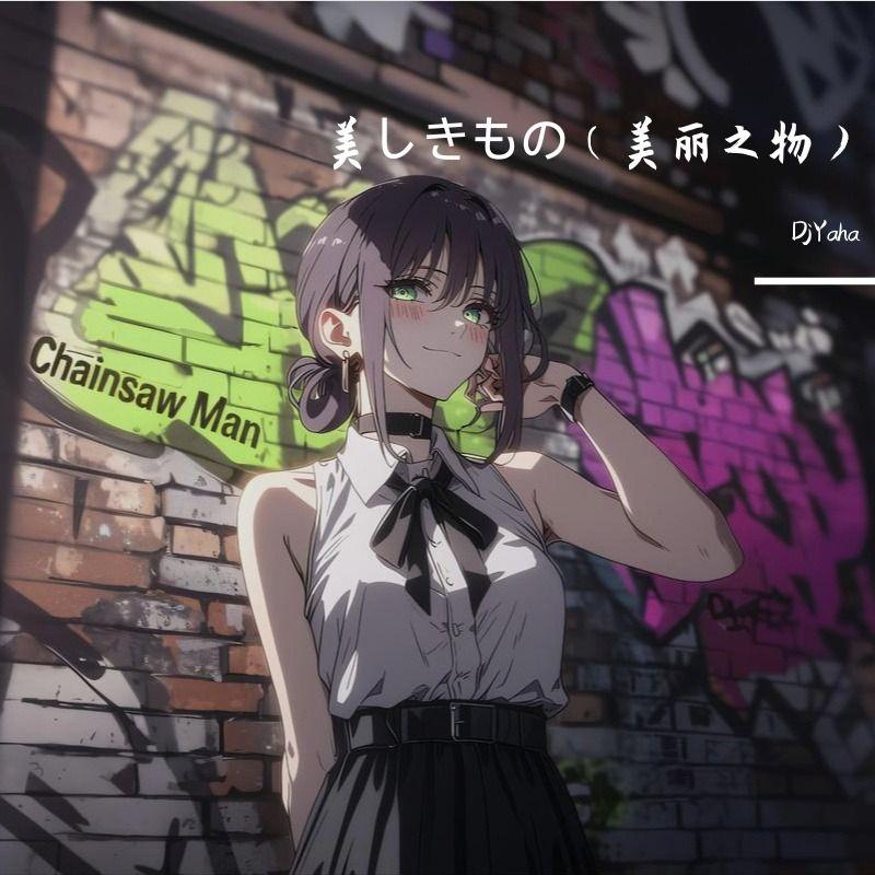 美しきもの（美丽之物）二胡版封面