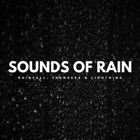 Sounds Of Rain: Rainfall, Thunders & Lightning