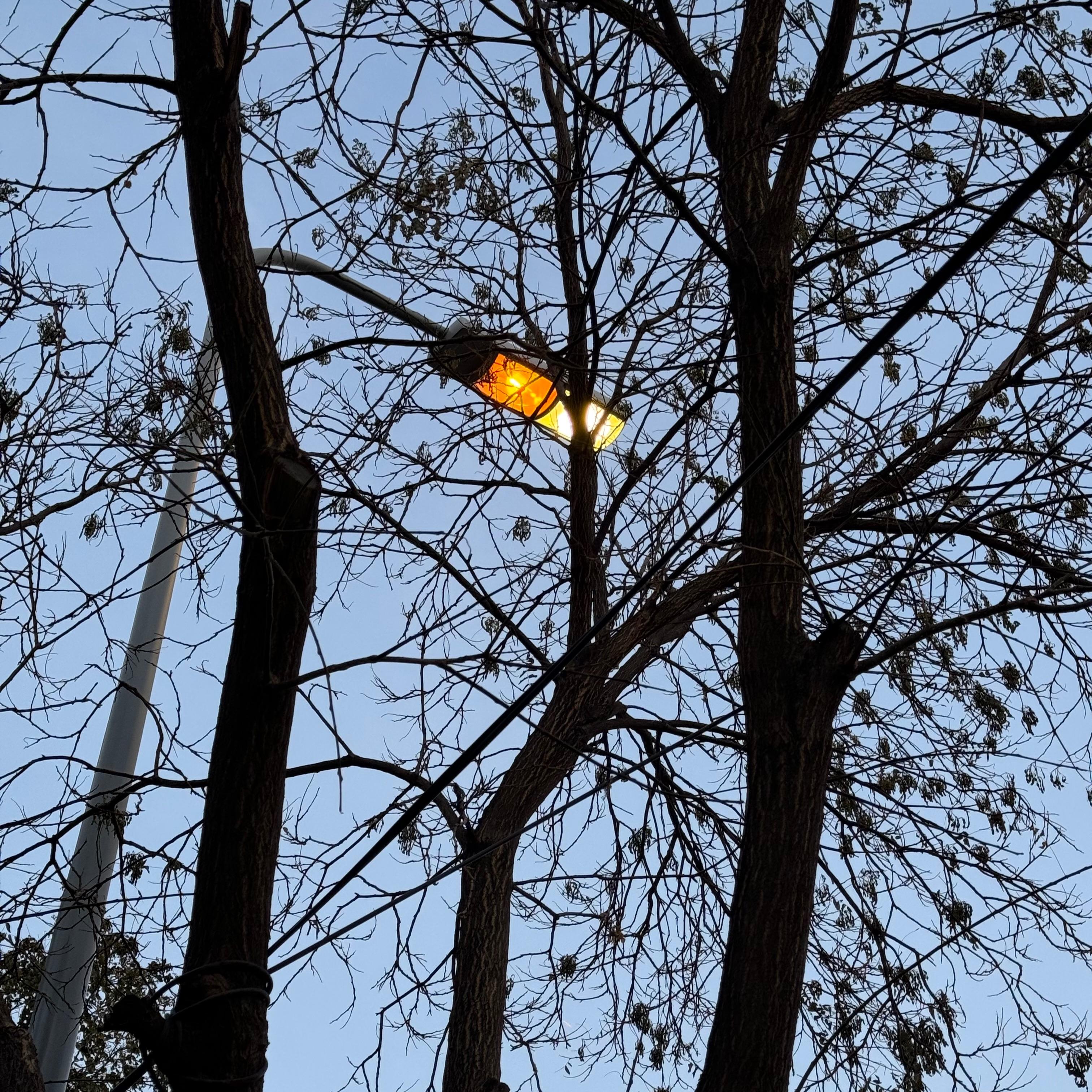 燃夏封面