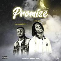 Promise (Remix) (feat. KOKOBERRY)