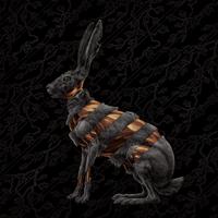 Jackrabbit (Deluxe Edition)