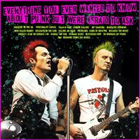 Everything You Ever Wanted To Know About Punk But Were Afraid To Ask