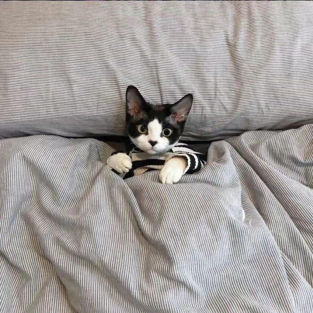 男女说唱 Give It To Me