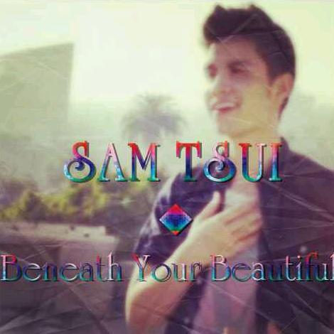 深爱的一个翻唱歌手Sam Tsui