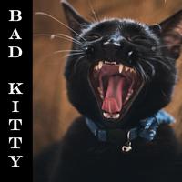 Bad Kitty