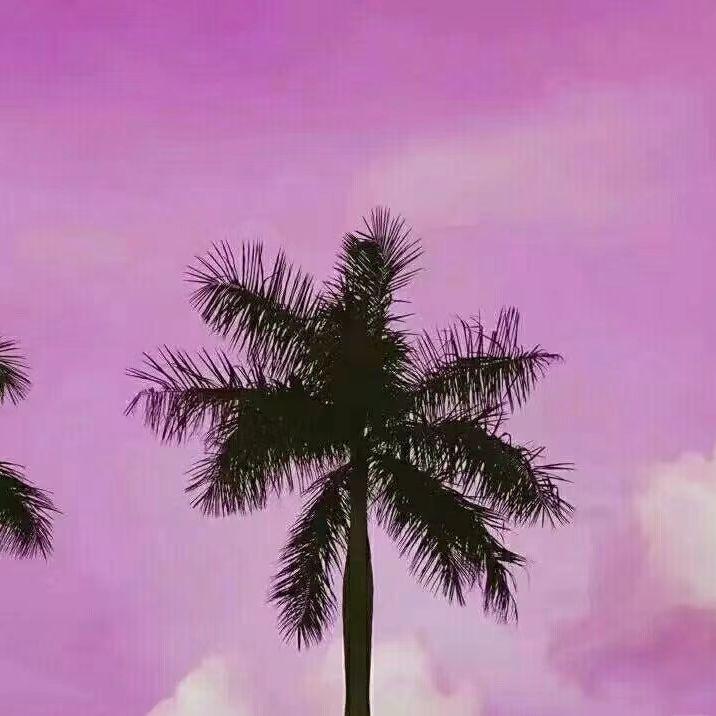 乌云向日葵_TouTou_乌云向日葵 | 在线播放_乌云向日葵歌词_乌云向日葵下载 | 网易云音乐