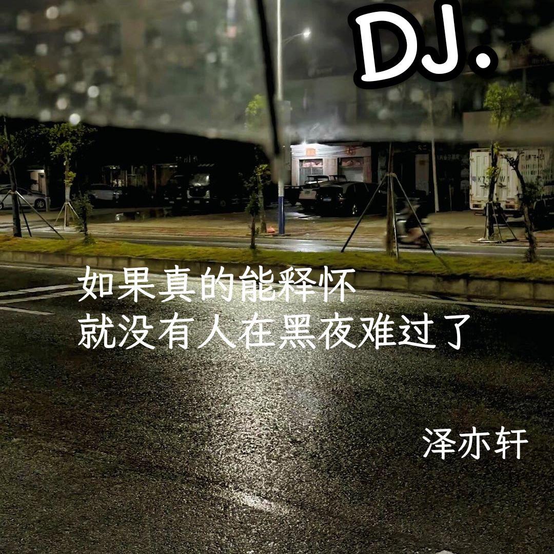 红尘情歌（DJ版）封面