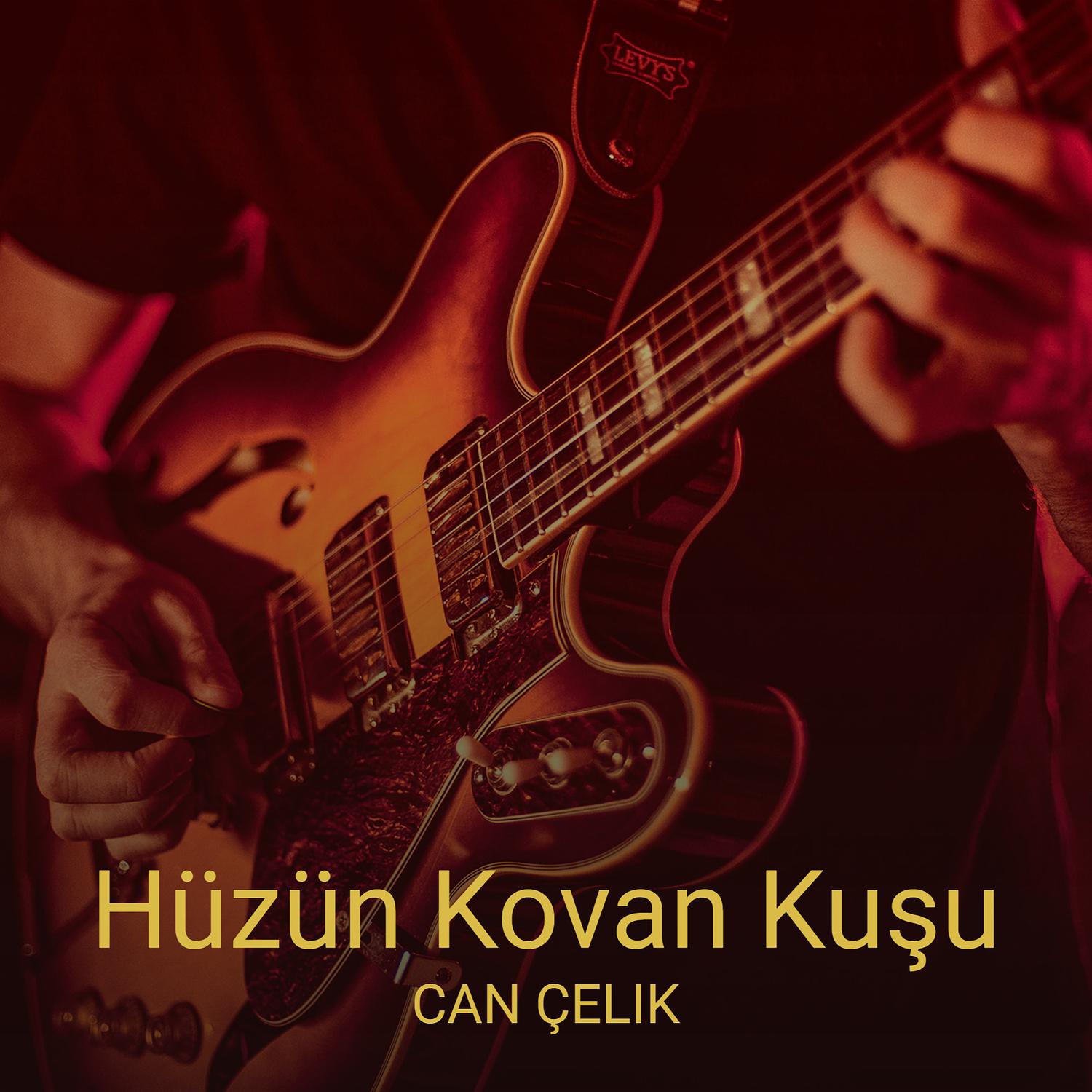 hüzün kovan kuşu