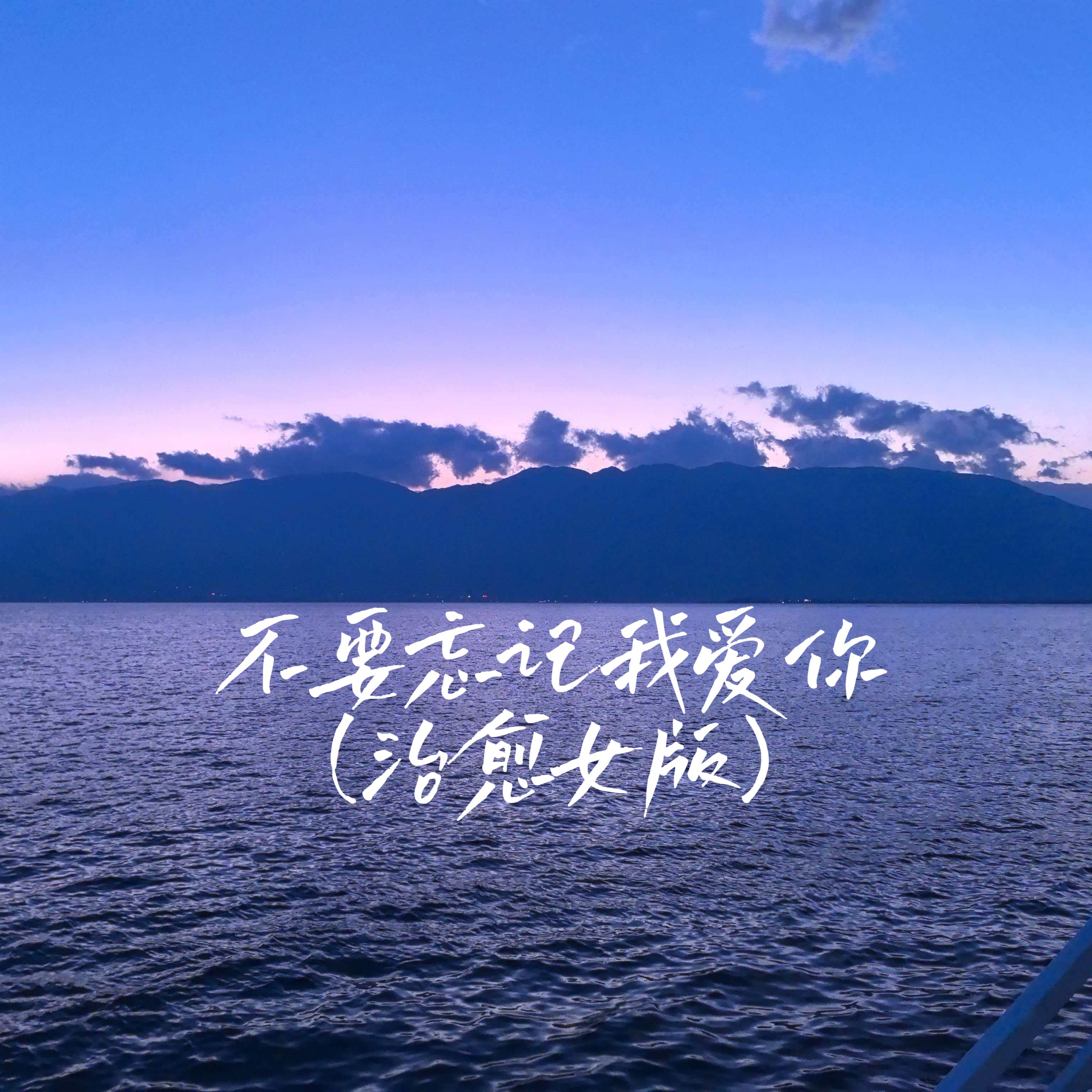 不要忘记我爱你 (治愈女版)封面
