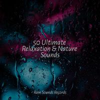 50 Ultimate Relaxation & Nature Sounds