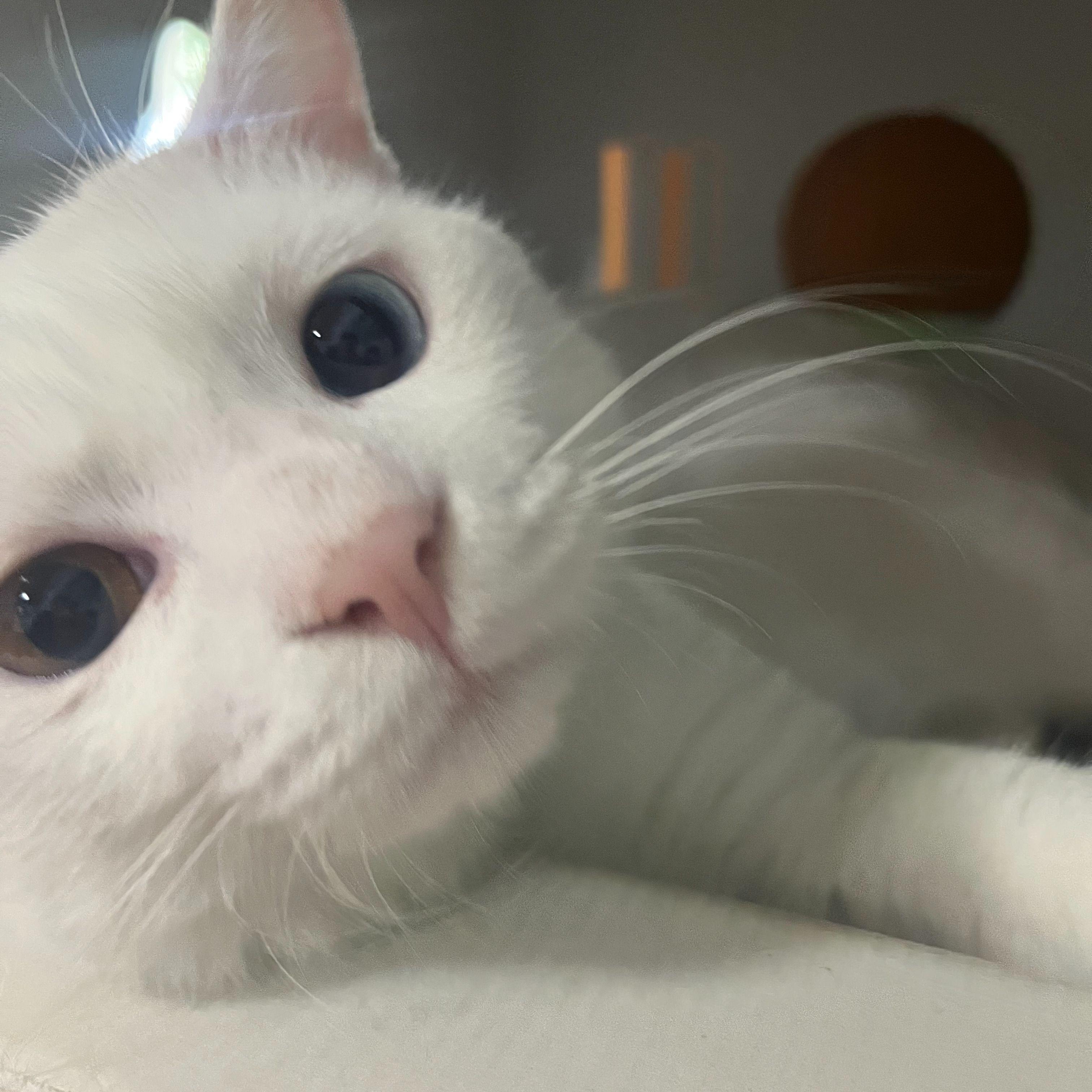 Seriously(Prod.dead sypro)