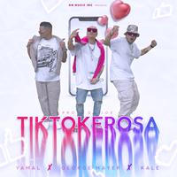 TIKTOKEROSA