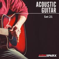 Acoustic Guitar, Set 21