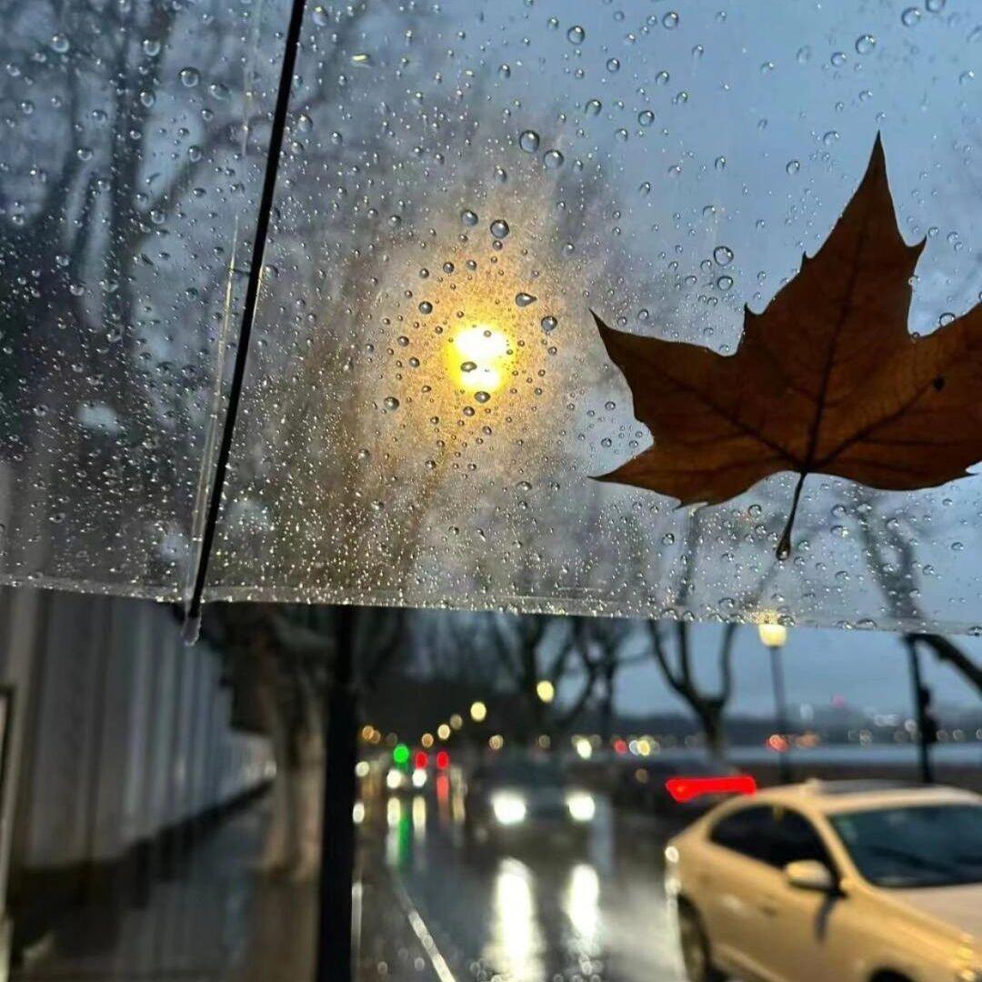 落空（伴奏）封面