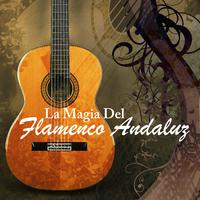 La Magia Del Flamenco Andaluz