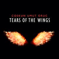 Tears of the Wings