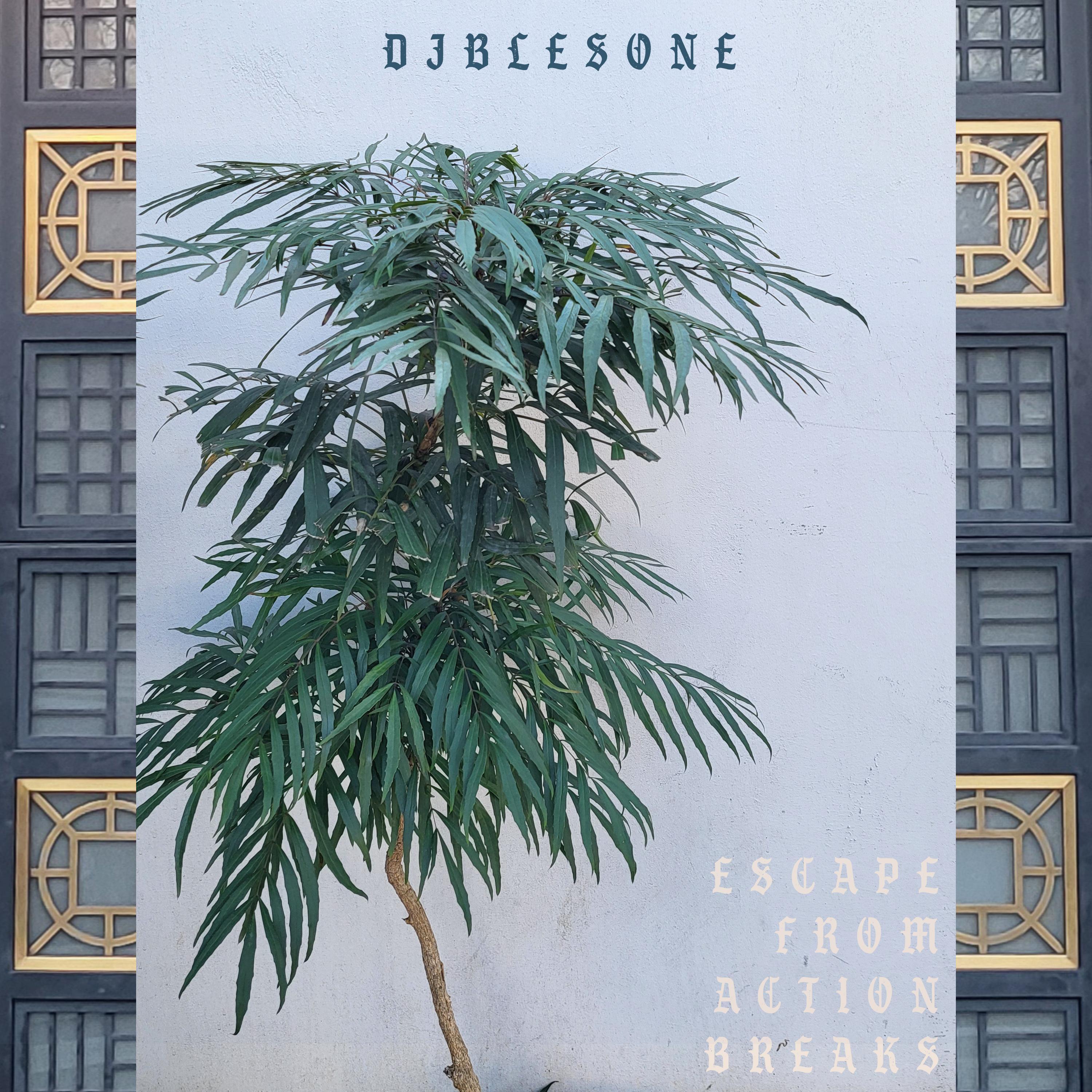 Escape From Action Breaks