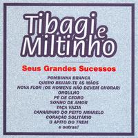 Seus Grandes Sucessos