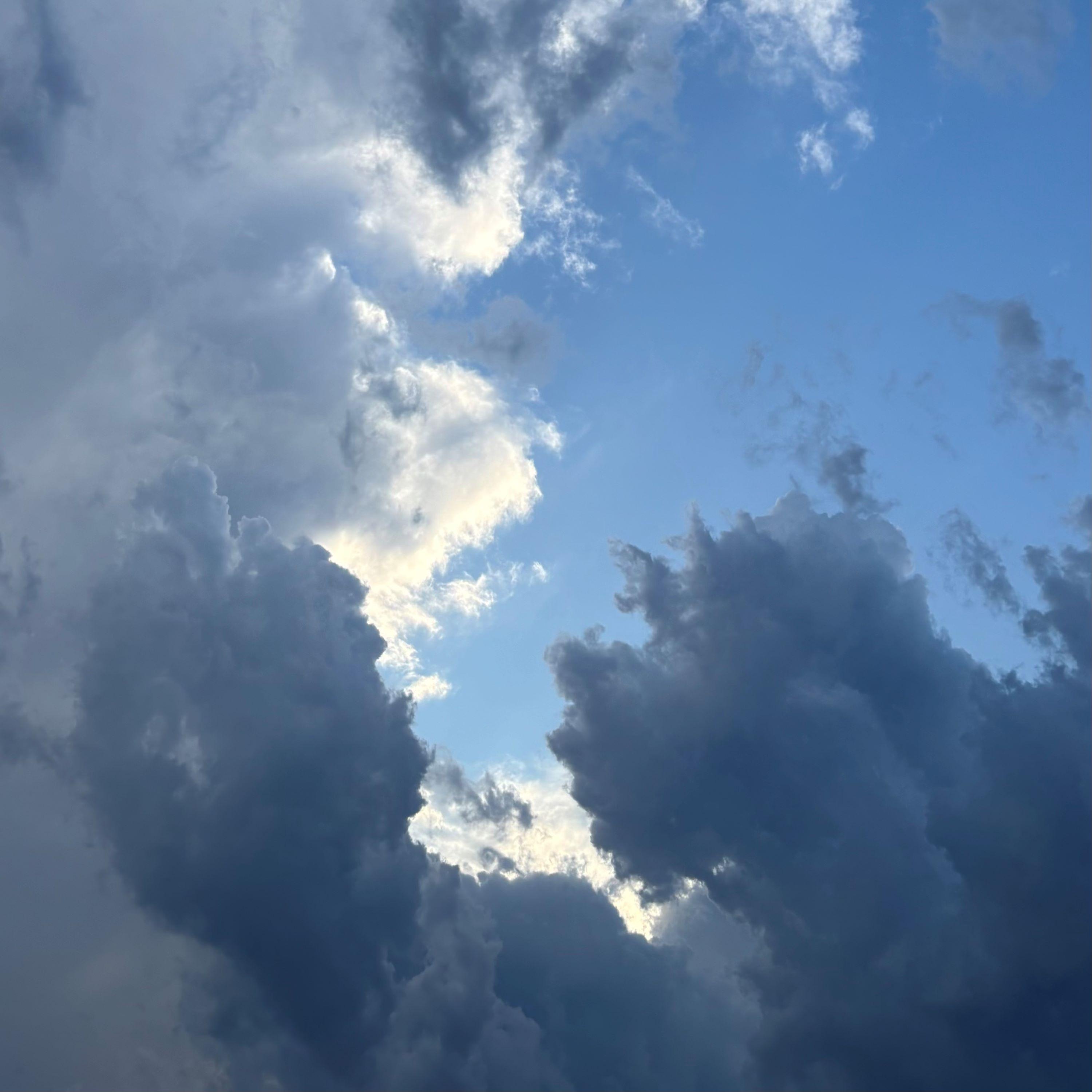 ASMR: Moving Movie Discs From CD Binder to Cases (Test Run)