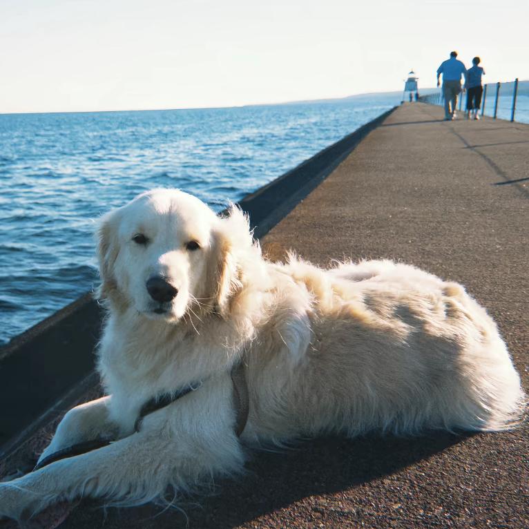 你爱听的中文歌