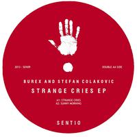 Strange Cries EP